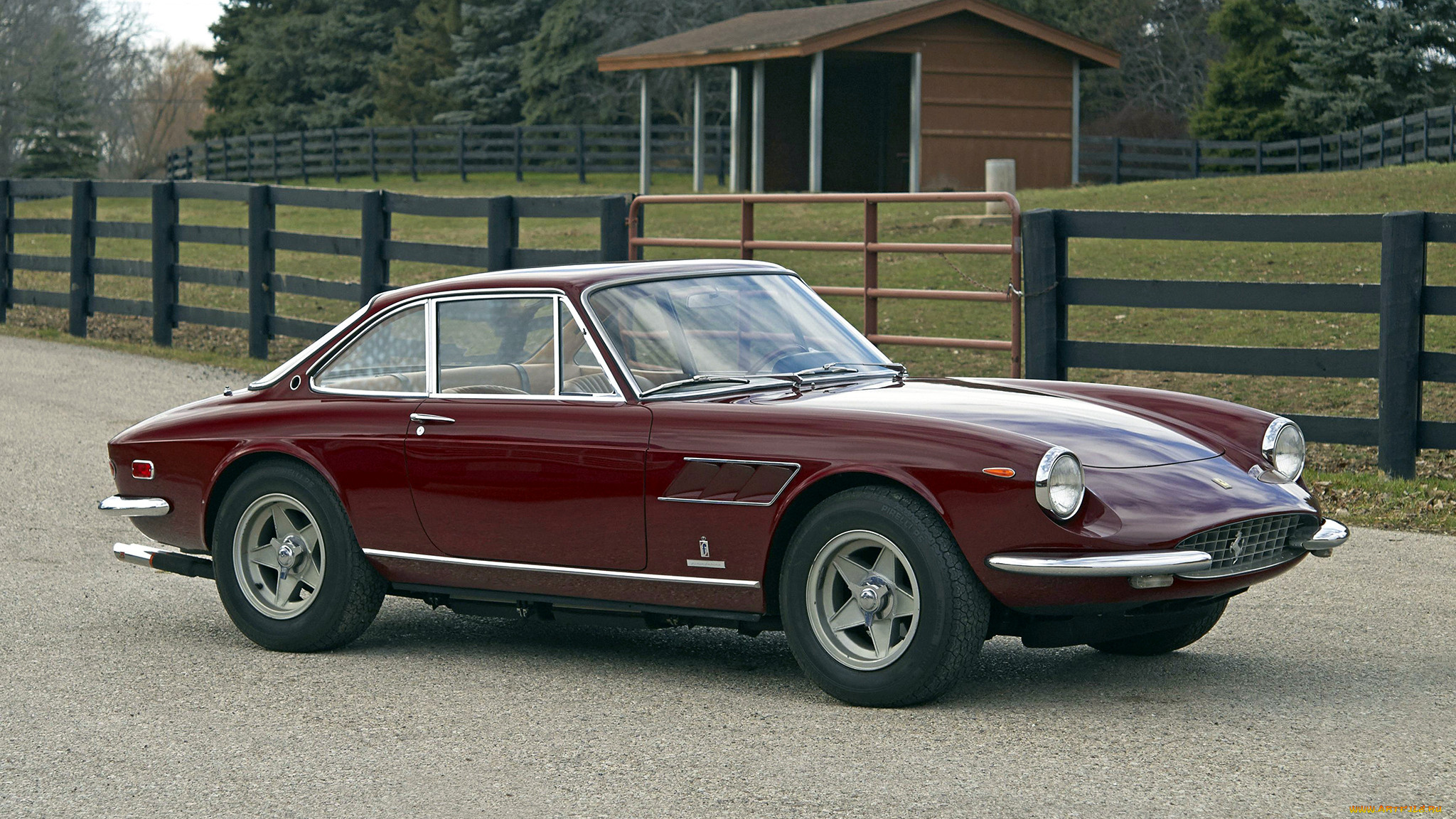 ferrari, 365, , , s, p, a, , 